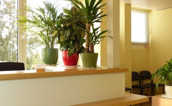 Praxis für Physiotherapie Kast