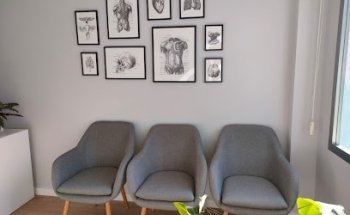 Fisioterapia Tao