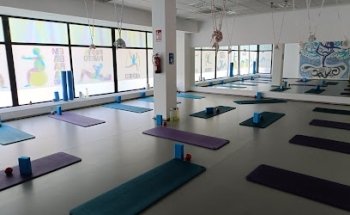 Fisioterapia Y Pilates Terapeutico Atlas