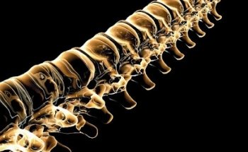 Enrico Dell'Acqua Osteopata Fisioterapista, Monza e Brianza