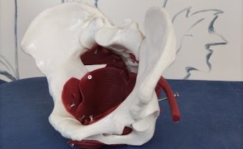 Silvia Cerionese - Fisioterapista Mestre Venezia