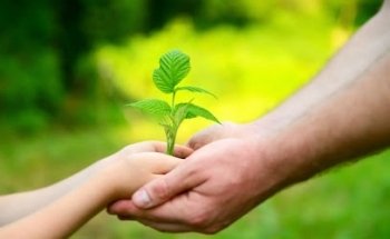 Studio di Naturopatia, Osteopatia, Massofisioterapia - Dr. Luciano Agosto