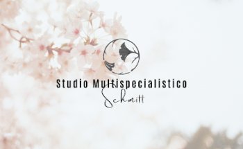 Multispecialistico Schmitt