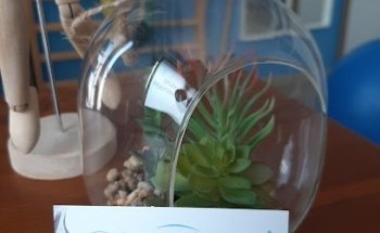 Studio Fisioterapico Dott. Davide Lagorio