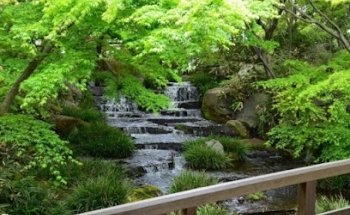 Elisa Bertozzi Fisioterapista Osteopata