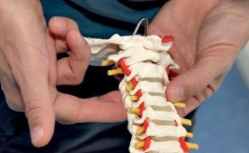 Fisioterapia Benfatti