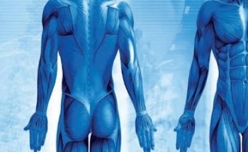 Fisiolab Cesena di Caiterzi Giorgio