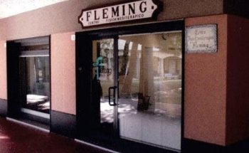 Fisiokinesiterapia Fleming