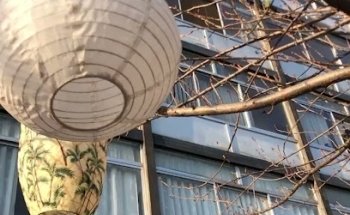 Jessica Marcelli, Osteopata