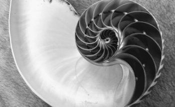 Giuseppe Garofalo Osteopata