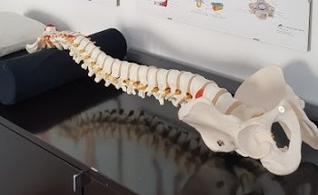 Osteopata D.O. Michele Coppi Lecco