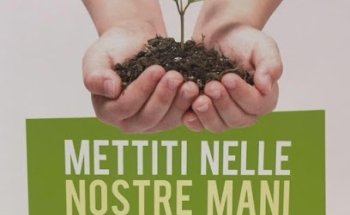 2F Sport Therapy Consulting Snc