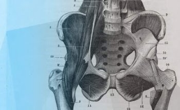 Osteopata D.O. Dott.ssa Selenia Vitellozzi