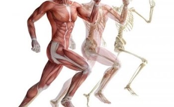 Osteopata Claudio Coppola D.O., B.Sc. (Hons) Ost.