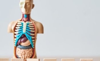 Osteopata Marina Nembrini