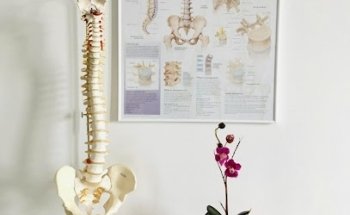 GIUDITTA CRIPPA OSTEOPATA