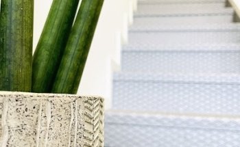 Moveaware - Dr. Andrea Turri