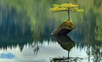 Ginnastica Posturale - dott.ssa De Col