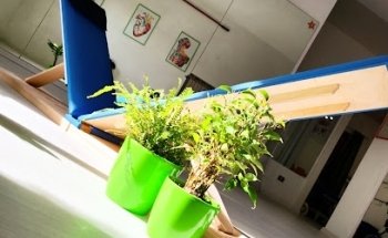 Centro Equilibrio -Osteopatia, Posturologia, Chinesiologia-