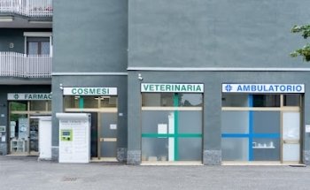 Osteopata D.O. Arianna Antonacci