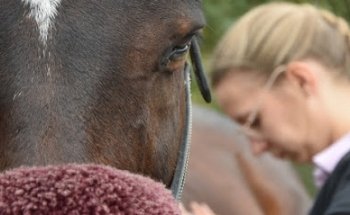 Victoire Spas Osteopata per animali