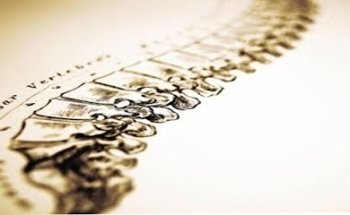 Michele Del Gallo D.O.