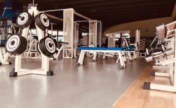 Free Style Wellness Area [SSD RL]