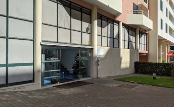 Equilibrium Gym