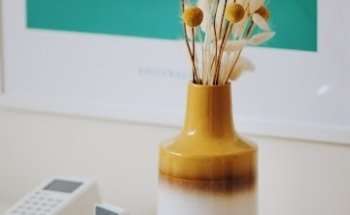 BlackBox Physio