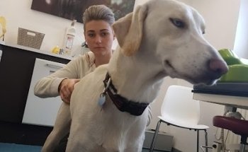 PhysioPet