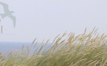 Physiotherapie Physio Zentral - Verena Schlender