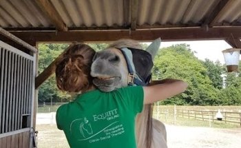 Equifit-Emsland