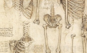 Physio Engel - Praxis für Physiotherapie und Osteopathische Medizin Oberursel