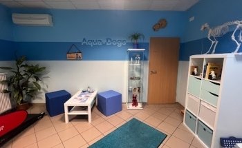 Hundephysiotherapie Aqua-Dogs
