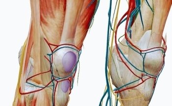 Praxis K & Ch Zehfuss Physiotherapie/Sportphysiotherapie