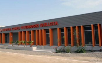 Hospital Clinico Veterinario Quillota