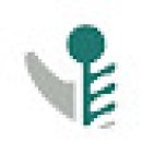 SUELO PÉLVICO Fisioterapia Da Costa