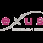 NEXUS FIsioterapia y Salud