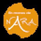 En Manos de Nara Formigal