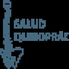 Centro Quiropráctico Torrent