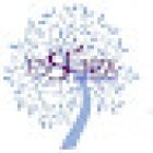 essenza spazio terapeutico