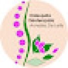 Osteopatia e Fisioterapia Dr.ssa Annalisa De Lellis