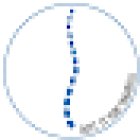 Dott. Yuri Tabarelli