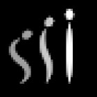 Fisioterapista Dott. Giovanni Vandini