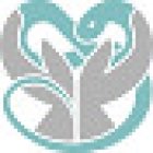 Francesco Morello - Fisioterapista O.M.P.T.- Studio Igea