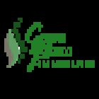 CMF Centro Medico Fisioterapico