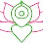 Pain and Rehabilitation