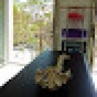 Studio Fisioterapia Dott. Simone Marini