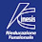Kinesis srl