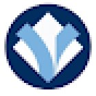 Institute Fiorentino Analysis